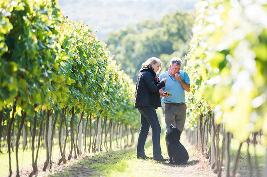 Wine tasting with Mountfield Winery | Wednesday 30th April | 7:00pm